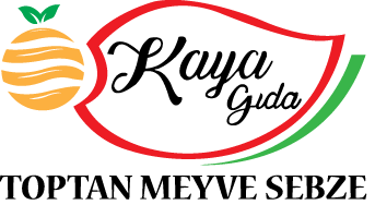 Kaya Gıda